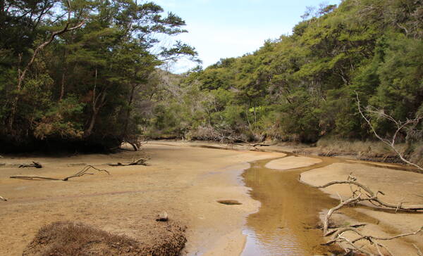 Abel Tasman National Park, Coastal Track