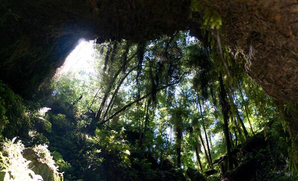 Kahurangi Nationa Park