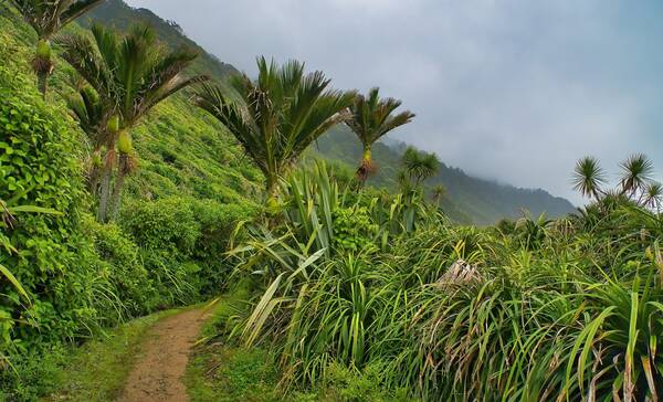 Kahurangi Nationa Park
