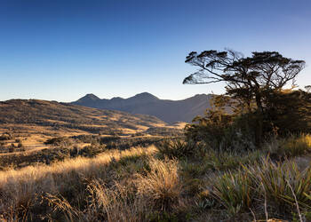 Kahurangi Nationa Park