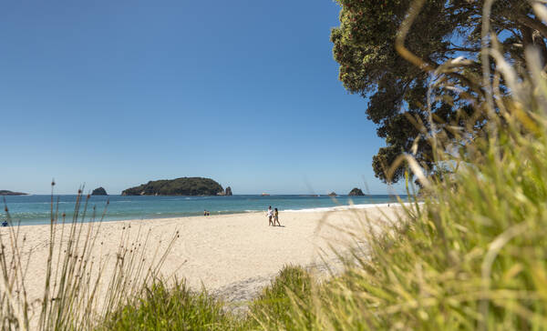 Hahei Beach, Coromandel Peninsula