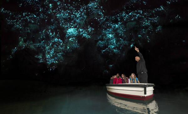 Waitomo Glowworm Cave