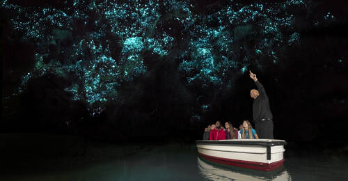 Waitomo Glowworm Caves