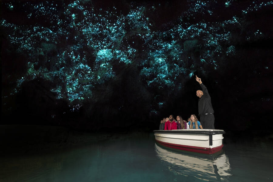 Waitomo Glowworm Caves