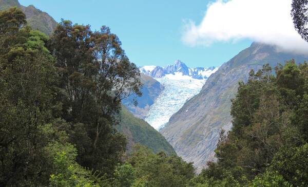 Fox Glacier