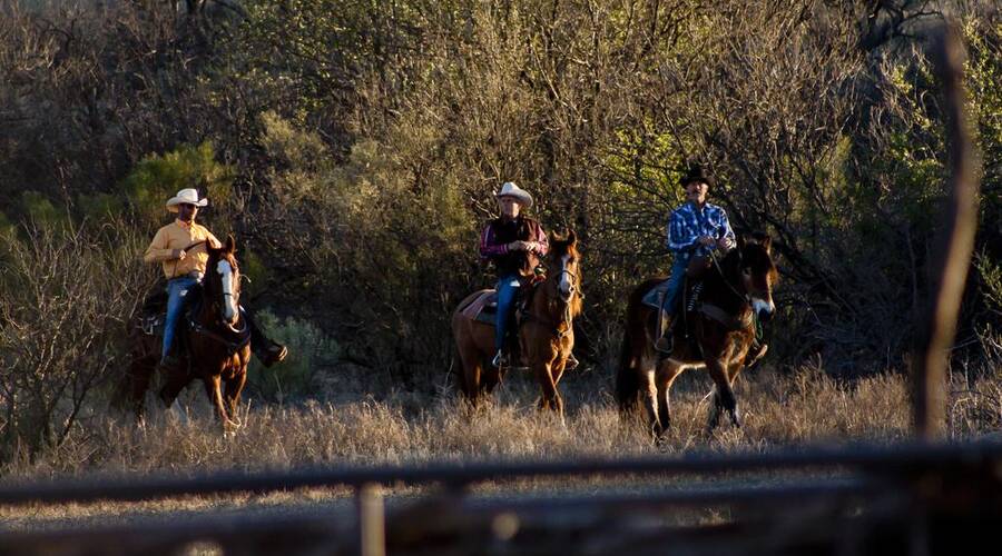 Rancho de la Osa Arizona