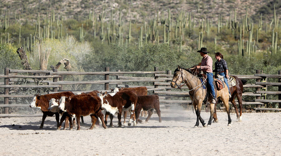Tanque Verde Ranch Arizona
