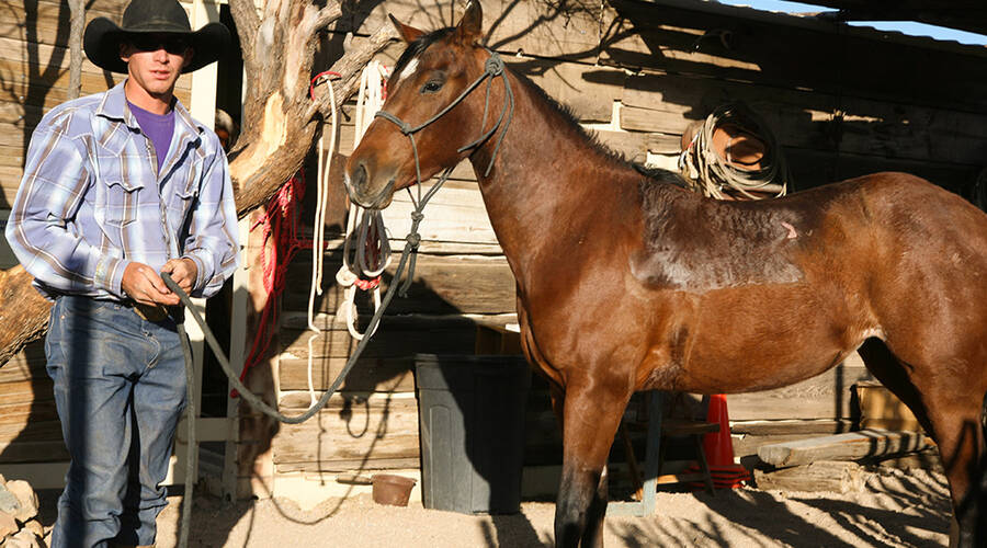 Tombstone Monument Guest Ranch