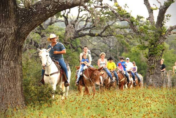 ranch dixie dude texas