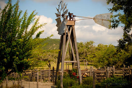 ranch dixie dude texas