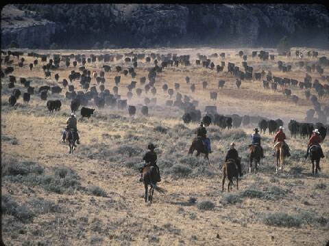 wyoming hideout ranch