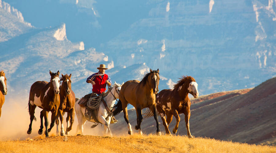 wyoming hideout ranch
